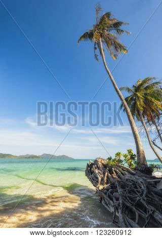 View of nice tropical beach with some palms around. Koh Laoya Sea of Thailand