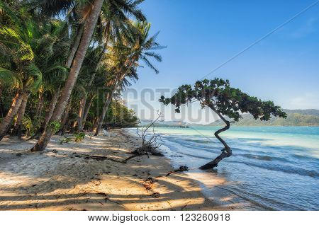 View of nice tropical beach with some palms around. Koh Laoya Sea of Thailand