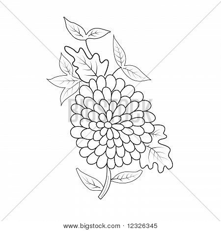 ร่างองค์ประกอบดอกไม้