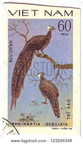 VIETNAM - CIRCA 1978 : A stamp printed by Vietnam shows bird an Pheinartia Ocellata, from the series Ornamental bird , circa 1978.