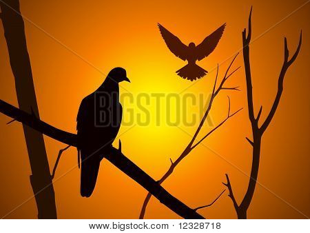 Bird On Branch