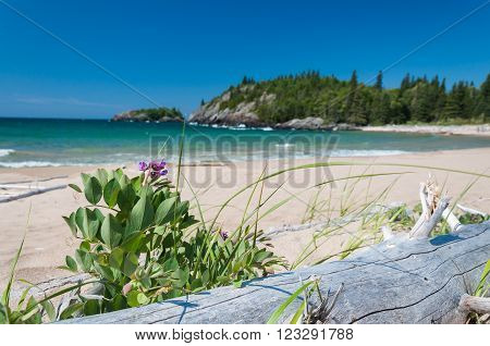 Northern shore of Great Lake Superior. Pukaskwa National Park of Canada. Ontario Canada