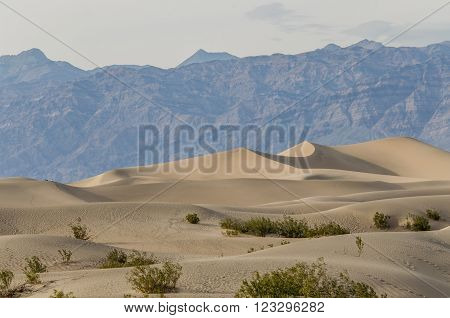 Mesquite Dunes in Death Valley in California