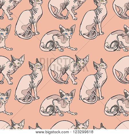 Hairless naked cats. Sphynx Cats. Seamless vector pattern (background).