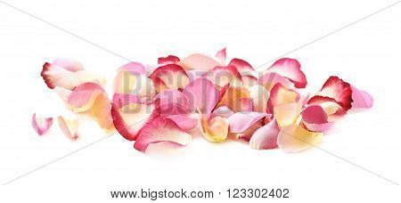 Pile of multiple pink rose petals isolated over the white background