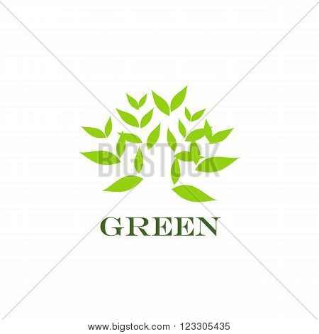 Green icon, environment concept, Green abstract, vector