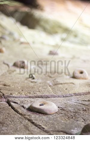 Indoor Climbing Wall Rock Holds