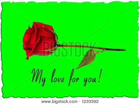 Rose mit text