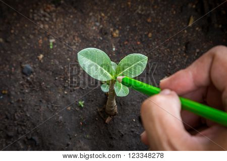 Photo of human drawing small tree on soil background