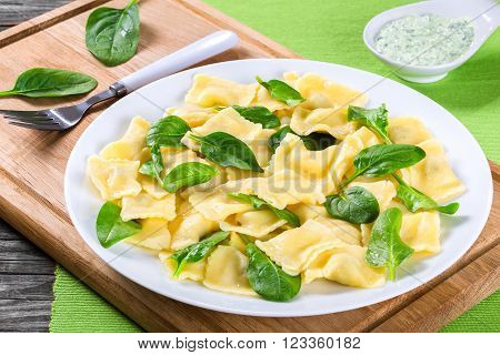 italian ravioli filling with ricotta cheese and spinach close-up