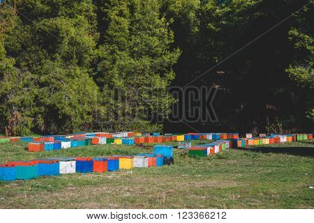 Bee hives on meadow in countryside of Greece