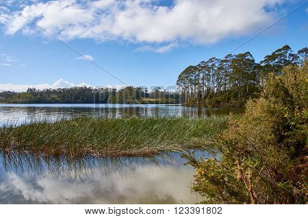 Clouds being relfected on the calm waters of Lake Manuwai in Northland New Zealand against a backdrop of trees