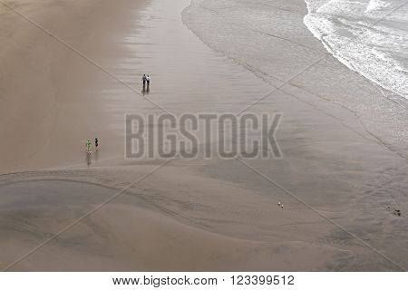 People and birds in pairs on Piha beach as seen from top of Lion Rock