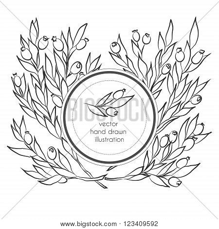 Vector hand drawn black and white illustration with branches with leaves and berries and circle label