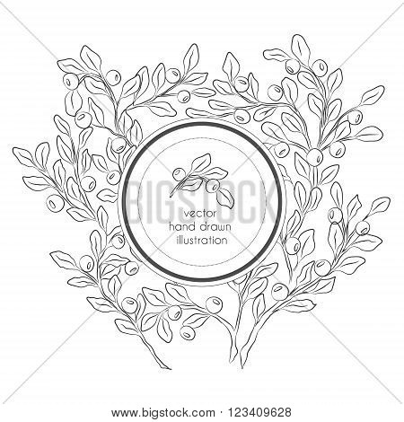 Vector hand drawn black and white illustration with blueberries branches with leaves and berries and circle label