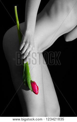 Naked wet girl with red tulip over black