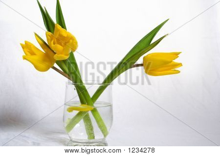 Fleurs