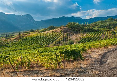 Mountains vineyards and autumnal sky - typical landscape on Crimean peninsula