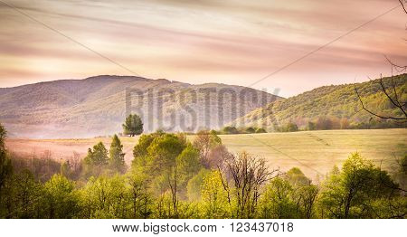 Forest And Mountains Landscape