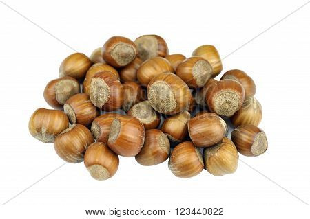 Hazelnuts