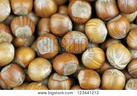 Hazelnuts