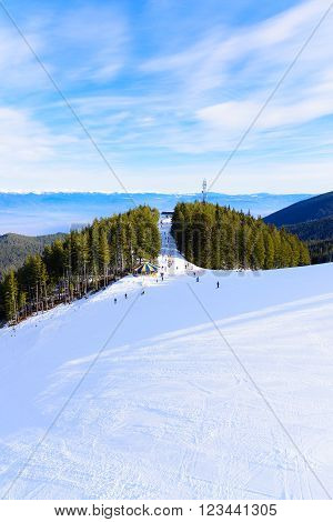 Ski Run Trail Snowcat