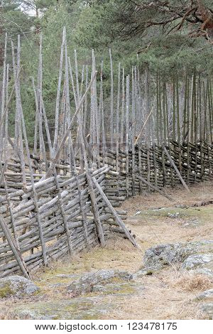 Traditional fence on then swedish countryside made of spruce tree