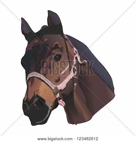Farm Brown Horse head vector illustration, graphic