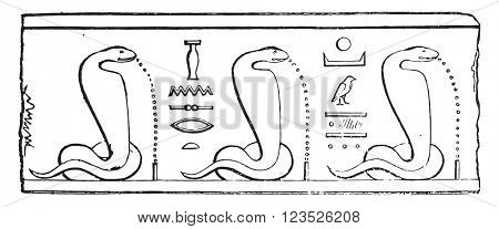 The Haje, According to figures carved on one of the curly Dendera Temple, vintage engraved illustration. Magasin Pittoresque 1853.