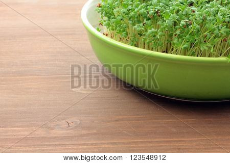fresh eastre  Cress, cuckoo flower on wooden background