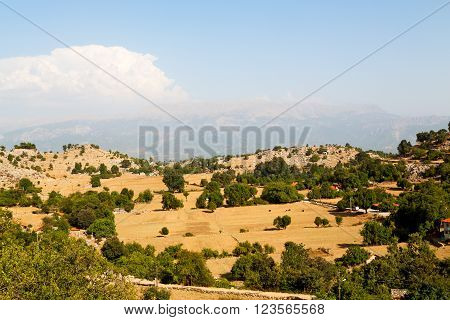 From The Hill In   Selge Old   And Nature