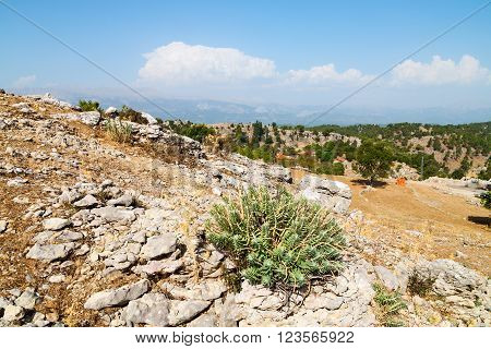 From The    Turkey Selge  Ruins And Nature
