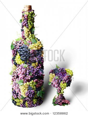 Vigne vin ; objets sur fond blanc