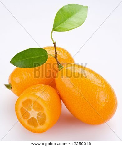 Kumquat