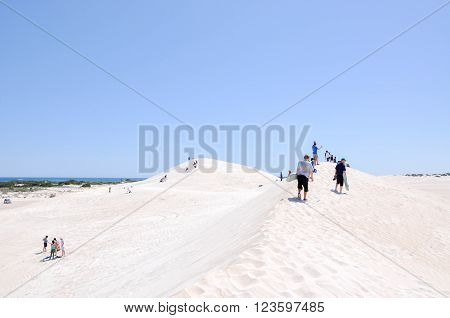 LANCELIN,WA,AUSTRALIA-SEPTEMBER 28,2015: Sand surfing and sledding the white sand dunes with tourists in Lancelin, Western Australia.