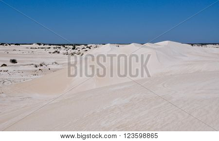 Stunning white desert landscape with minimal vegetation at the Lancelin Sand Dunes under a clear blue sky in Western Australia.