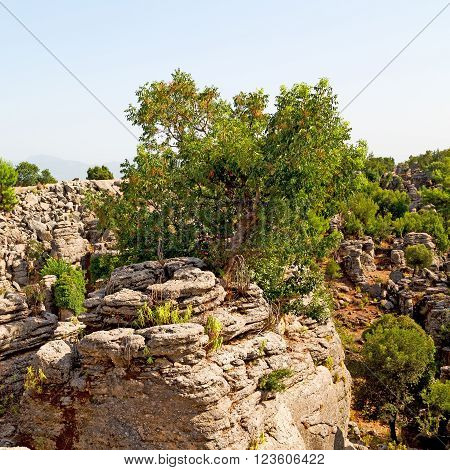 From The Hill In Asia Turkey Selge Old Architecture Ruins And Nature