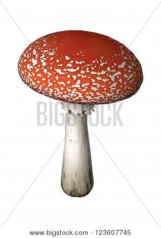 3D Illustration Fly Agaric On White