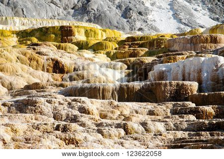 Colorful cascade in Yellowstone national park, Wyoming
** Note: Soft Focus at 100%, best at smaller sizes