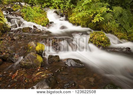 Waterfall stone in USA, in deep forest
** Note: Soft Focus at 100%, best at smaller sizes
