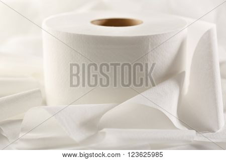 One White Toilet Paper Roll