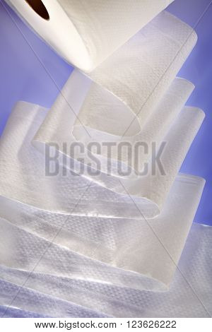 One White Toilet Paper Roll