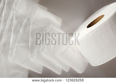 One White Toilet Paper Roll