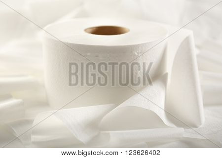 One White Toilet Paper Roll