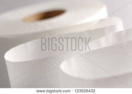 One White Toilet Paper Roll