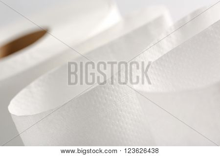 One White Toilet Paper Roll