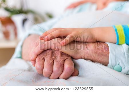 CHild hands holding senior woman's hands in nursing home.