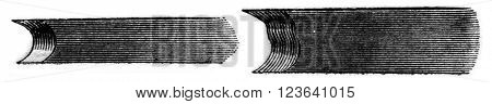 Snuffers, vintage engraved illustration. Magasin Pittoresque 1853.