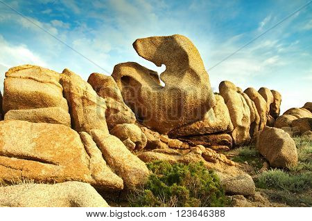 Elephant from sandstone rock with blue sky, Corsica