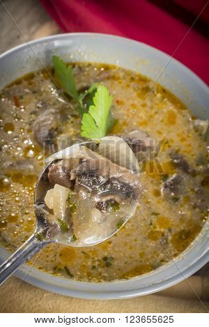 Authentic rich and creamy Hungarian mushroom soup with paprika flavor